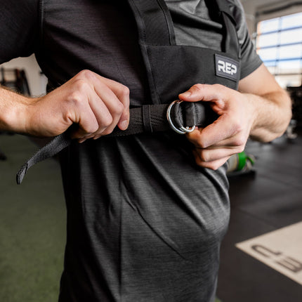 Sled Harness